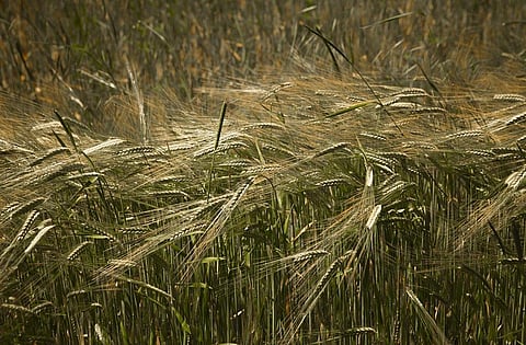 The IMD predicts the weather to continue for the next two days. Representative photo: iStock.