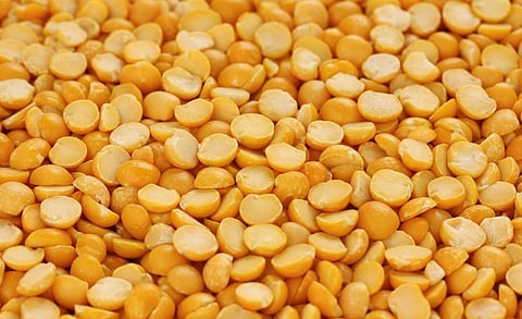The Union Ministry of Finance issued an order waiving off import duty on whole pigeon pea March 3, 2023. Photo: iStock