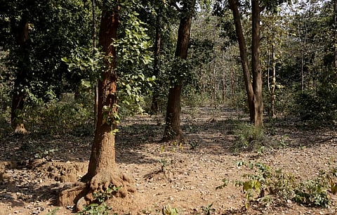 पर्यावरण नियमों का उल्लंघन है कमांडो बटालियन मुख्यालय के लिए संरक्षित वन क्षेत्र से छेड़छाड़ : एनजीटी