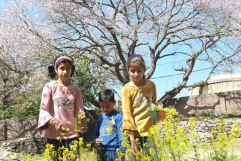 उत्तराखंड का फूलदेई पर्व: जो इशारा करता है कि, प्रकृति के बिना इंसान का अस्तित्व नहीं