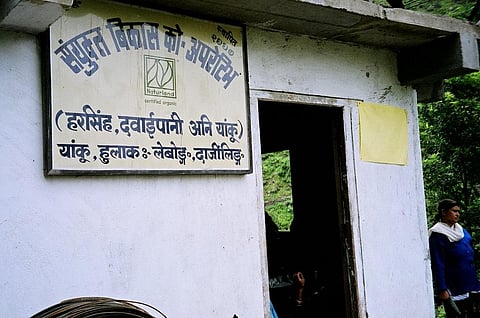 फोटो: सीएसई