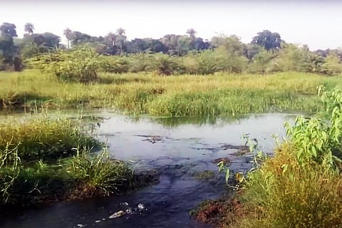 कोठारी नदी में बहता दूषित पानी: फोटो: नन्द किशोर जांगिड़/यूट्यूब