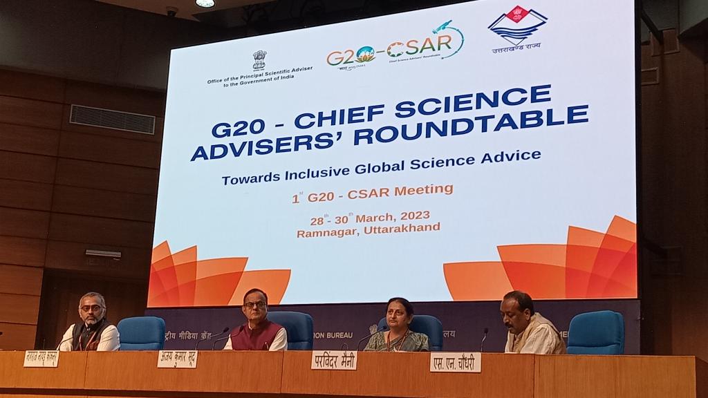 Photo: Rohini Krishnamurthy