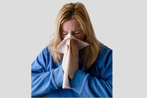 फोटो साभार : विकिमीडिया कॉमन्स