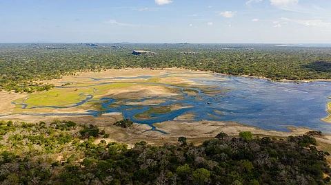 Marshes all over the globe experience ‘coastal squeeze,’ where their movement is obstructed by sea level rise, anthropogenic activities and geographical factors. Representative photo: iStock.