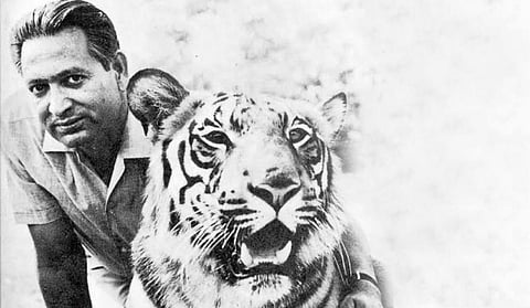 Kailash Sankhala, the first director of Project Tiger. Photo: @rameshpandeyifs / Twitter