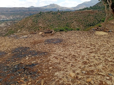 Farmland razed by Eritrean soldiers at a village in Ahferom district, Central zone, Tigray. Photo: Abrha Brhan Gebre / with permission