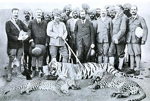 The Prince of Wales and the Maharaja of Gwalior with a tiger and two leopards c. 1900. Photo: Wikimedia Commons (Creative Commons CC0 License)