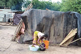 DTE explores the link between climate change and disease in Africa