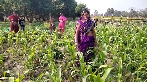 महिला श्रमिकों के श्रम का मूल्य कम आंका जाता है। फोटो: चरखा फीचर