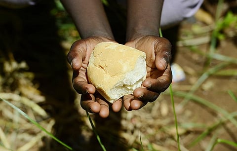 Extreme food crises have become a sore point for countries across the world in the 21st century. Representative photo: iStock.