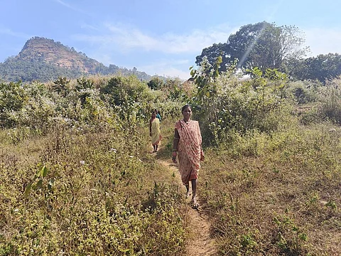 Insecure livelihoods and lack of access to government services have significantly impacted the health of these tribes. Photo: Aishwarya Mohanty.