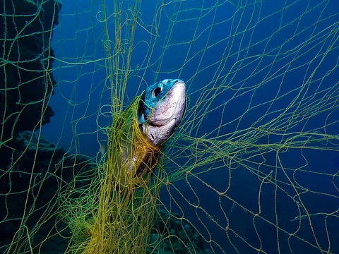 One of the key challenges faced by the global marine ecosystem is abandoned, lost or discarded fishing gear. Representative photo: iStock.