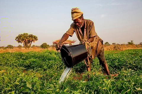 A farmer watering his crops in Namong, Tone district, Togo. Photo: Godong/Universal Images Group via Getty Images