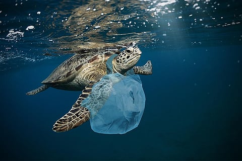 समुद्रो में बढ़ता प्लास्टिक कचरा; फोटो: आईस्टॉक