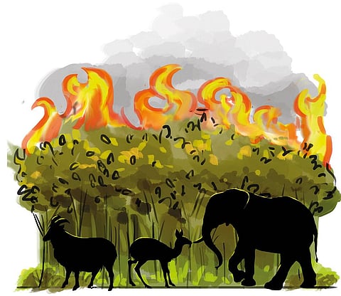 Illustration: Yogendra Anand