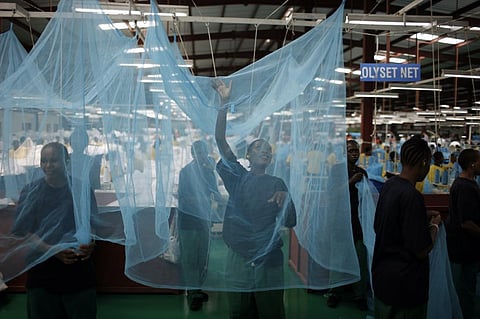 A factory producing insecticidal bed nets in Arusha, Tanzania. Photo: Charles Ommanney/Getty Images