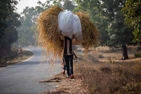 सावधान! 'सूखे' पड़े हैं भारत के 78 फीसदी जिले, गर्मी की फसलें हो सकती हैं प्रभावित