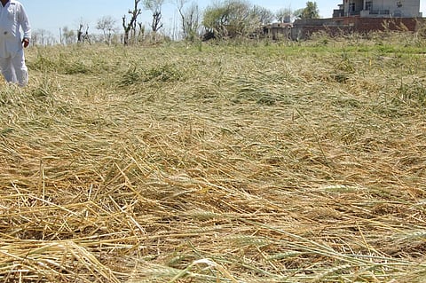 फोटो साभार :सीएसई