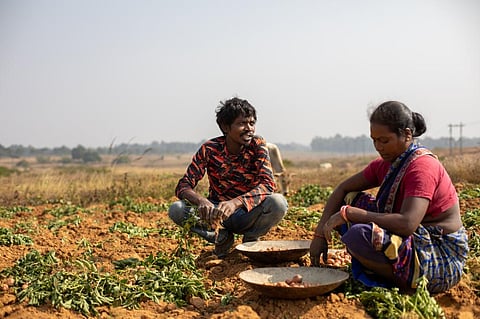 विश्व मौसम संगठन ने की अल नीनो के आगाज की घोषणा, भारत में भी मॉनसून पर रहेगी नजर
