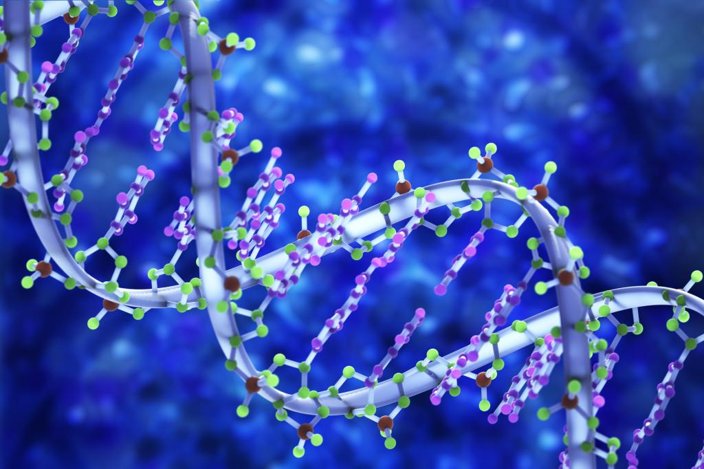 ‘An individual’s genome carries information shaped over millenia of evolutionary history’