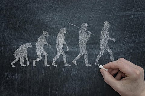 Mammals comprise roughly 6,500 living species and represent over 180 million years of genome evolution. Representative image: iStock.