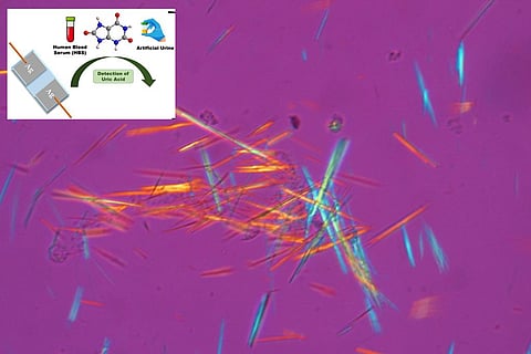 फोटो साभार : विज्ञान एवं प्रौद्योगिकी मंत्रालय और विकिमीडिया कॉमन्स