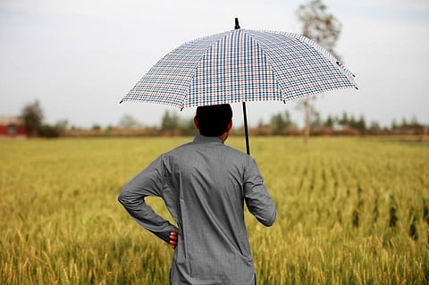 Photo: iStock