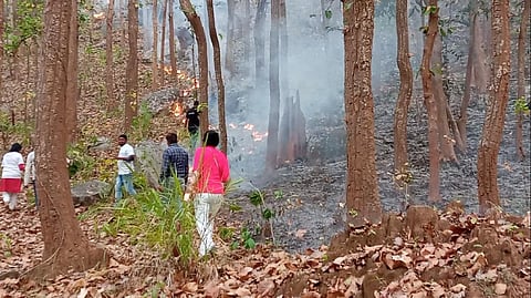 When anyone notices smoke in a forest, volunteers quickly go to the place, separate the dry leaves in the area and try to control the spread. Photo: Sarada Lahangir.