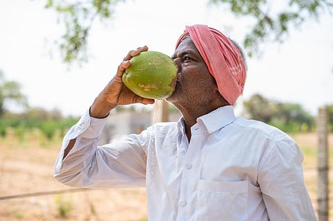 Photo: iStock