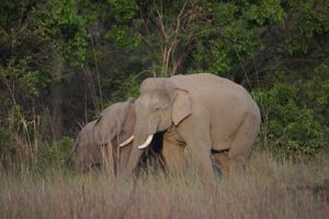 Photo: Sayantan Bera / CSE