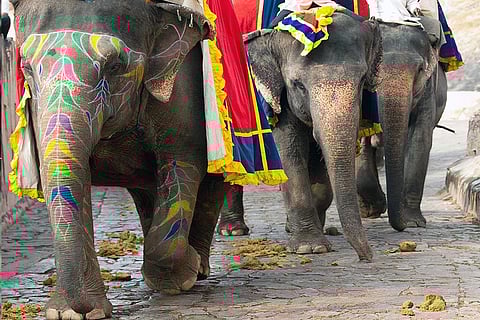 प्रतीकात्मक तस्वीर; फोटो: आईस्टॉक