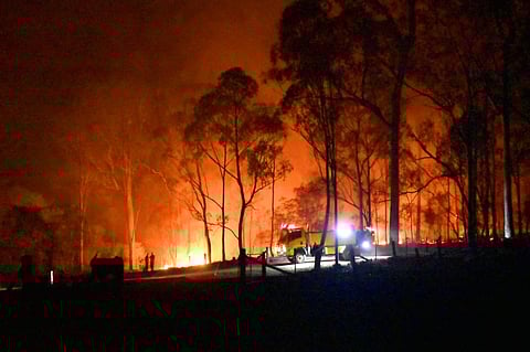 The horrific 2019-2020 Australian bushfire burnt more than 46 million acres of land. Photo: iStock