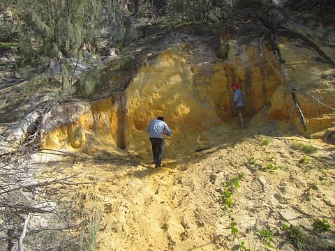 James Shulmeister, Author provided