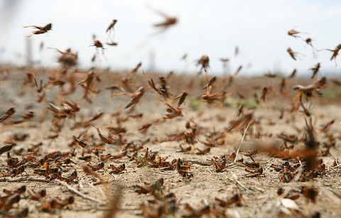 Photo: iStock