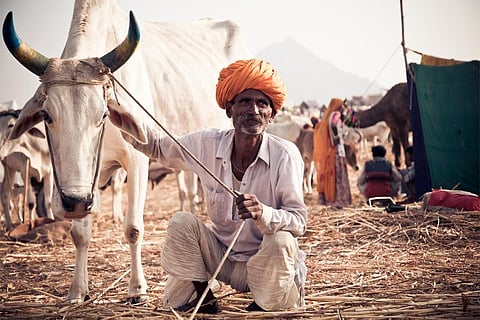 पुष्कर मेले में अपनी गाय के साथ भारतीय किसान; फोटो: आईस्टॉक