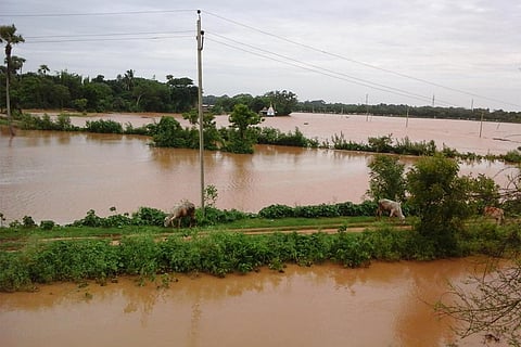 विकिमीडिया कॉमन्स, दीपक दास