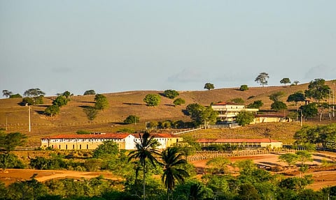 Farms in Pernambuco state, northeastern Brazil. Photo: iStock