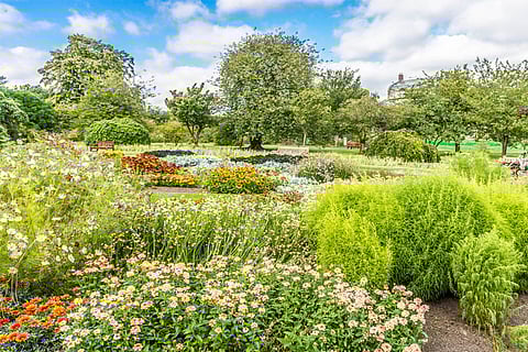 फोटो साभार: विकिमीडिया कॉमन्स, इंफोमाटिक