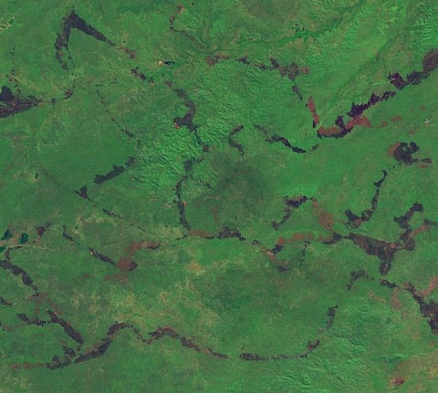 Satellite imagery shows how burnt areas in central Arnhem Land are lines carefully ‘painted’ across the landscape. Photo: Sentinel Hub EO Browser, CC BY