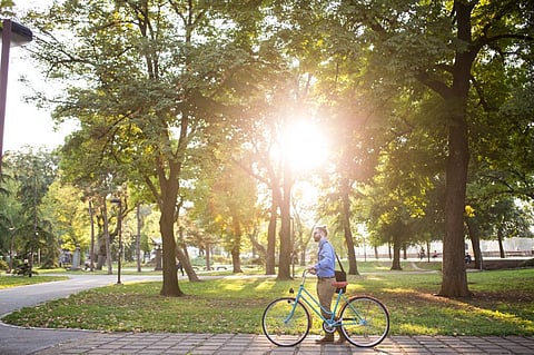 The World Bank report stressed the urgent need for cities to adopt integrated green urban planning strategies that address interconnected challenges, including investment in green space and sustainable infrastructure. Photo: iStock