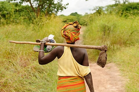 Photo: iStock