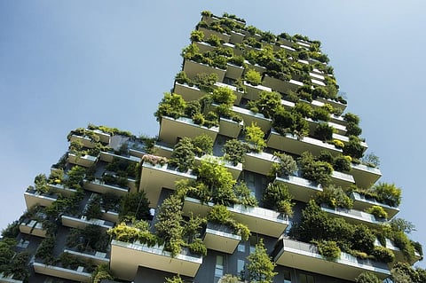 Photo: iStock.