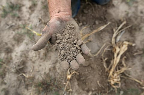 A flash drought in 2012 dried out soil, harming crops in Kansas and several other states. Photo: John Moore / Getty Images