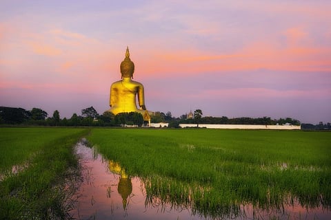 Buddhist principles reveal a divine connection with organic agriculture and further promote environmental conservation and protection. Representative photo: iStock.