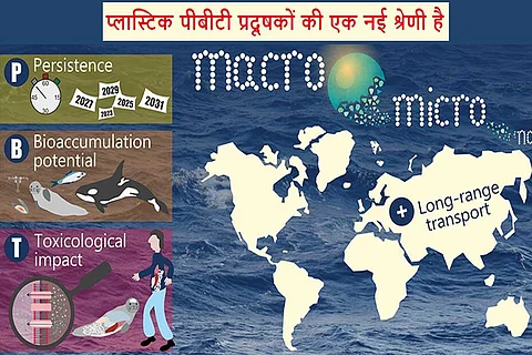फोटो साभार: एनवायरमेंटल साइंस एंड टेक्नोलॉजी पत्रिका