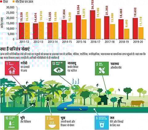 एसओई इन फिगर्स 2023 : हिमालयी राज्यों में वन संसाधनों का दोहन बड़े पैमाने पर
