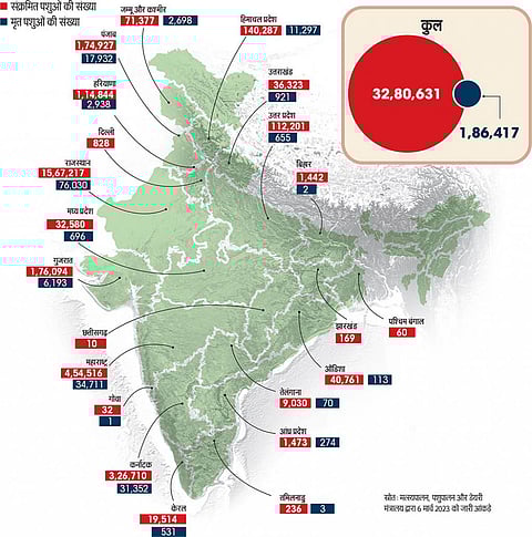 एसओई इन फिगर्स 2023: लंपी से 1.86 लाख पशुओं की मौत, राजस्थान में सबसे ज्यादा प्रभाव दिखा
