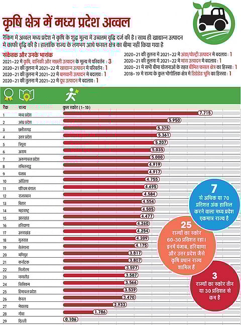 एसओई इन फिगर्स 2023: कृषि क्षेत्र में मध्य प्रदेश अव्वल, पंजाब नौंवे और हरियाणा 16वें स्थान पर