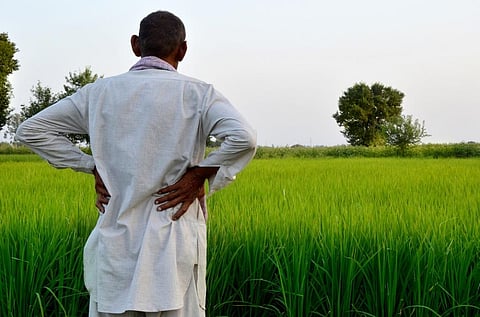 Agriculture was one of the four parameters on which CSE-DTE ranked 29 Indian states. Photo: iStock